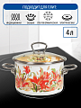 Кастрюля эмалированная сталь, 4 л, крышка стекло, цилиндрическая, Vitross, Lilianna, 1SD205S, индукция