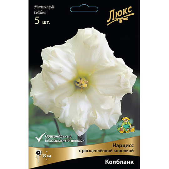 Луковицы Нарцисс с расщепленной коронкой, Колбланк, 12-14/К, 5 шт