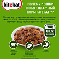 Корм для животных Kitekat, 85 г, для кошек, говядина в желе, пауч - фото 3