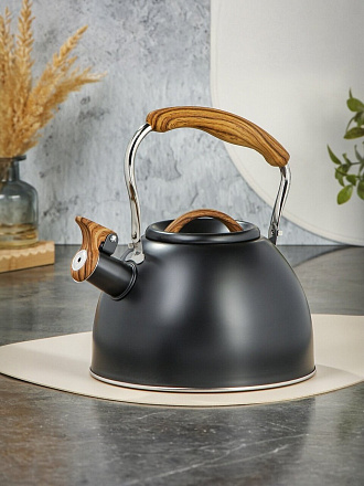Чайник нержавеющая сталь, 2.5 л, со свистком, матовый, ручка с покрытием, нейлон, Daniks, индукция, GS-04415B