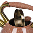 Чайник нержавеющая сталь, 3 л, со свистком, матовый, ручка с покрытием, нейлон, Daniks, индукция, коричневый, GS-04517H-2 - фото 5