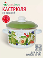 Кастрюля эмалированная сталь, 5.5 л, крышка сталь, цилиндрическая, СтальЭмаль, Авокадо, 6RD221M, белоснежная, индукция