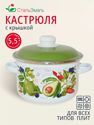 Кастрюля эмалированная сталь, 5.5 л, крышка сталь, цилиндрическая, СтальЭмаль, Авокадо, 6RD221M, белоснежная, индукция