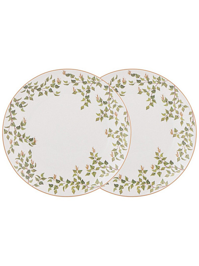 Набор тарелок закусочный, фарфор, 2 шт, 20.5 см, круглый, Березки, Lefard, 85-2012, белый