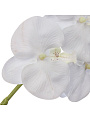 Цветок искусственный декоративный Орхидея, 107 см, белый, Y6-10365 - фото 2