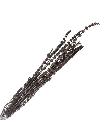 Цветок искусственный декоративный Сухоцветы, 75 см, фиолетовый, Y6-10406