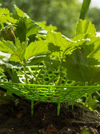 Набор для капельного полива клубники, от емкости, на 20 растений, Жук, №28, 8821-00