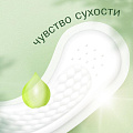 Прокладки женские Naturella, Ромашка Плюс, ежедневные, 36 шт, 0001041187 - фото 3