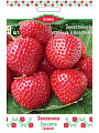 Саженцы Земляника садовая, Эльсанта, 3 шт, 707155