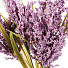 Цветок искусственный декоративный Астильба, 40 см, пыльно-фиолетовый, Y4-7162 - фото 2