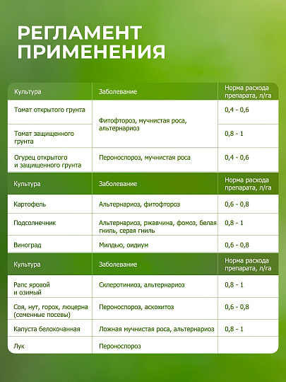 Фунгицид Интрада, защита овощных и полевых культур, 50 мл, жидкость, Avgust