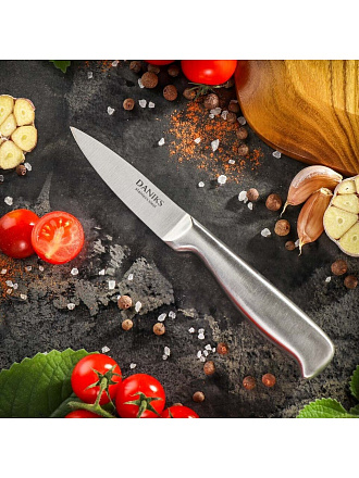 Нож кухонный Daniks, Ферра, для овощей, нержавеющая сталь, 9 см, рукоятка сталь, YW-A042-PA