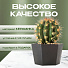 Кашпо керамика, 1300 мл, 15х11 см, шестигранник, черное, Эджес №3, 049737 - фото 5