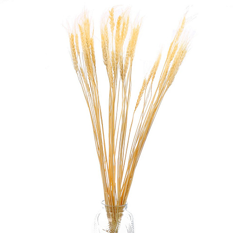 Цветок искусственный декоративный Колосья, 70 см, песочный, Y6-10402