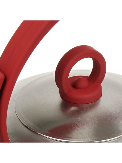 Чайник нержавеющая сталь, 2.8 л, со свистком, зеркальный, ручка с покрытием, нейлон, Daniks, индукция, GS-04003