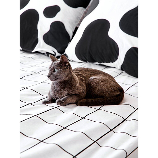 Постельное белье детское 1.5-спальное, простыня 150х214 см, 1 наволочка 70х70 см, пододеяльник 143х215 см, Crazy Getup, перкаль, Cow 711601