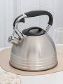 Чайник нержавеющая сталь, 2.7 л, со свистком, матовый, сталь 304, ручка с силиконовым покрытием, Daniks, индукция, PR-2201 - фото 6