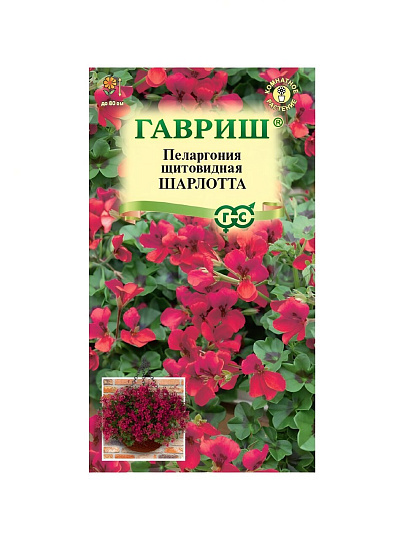 Семена Цветы, Пеларгония, Шарлотта, 3 шт, ампельная, цветная упаковка, Гавриш