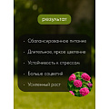 Удобрение для гортензий, пролонгированное, с биодоступным кремнием, ведро, 800 г, Bona Forte - фото 8