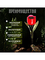 Светильник садовый Ultraflash, SGL-006, на солнечной батарее, грунтовый, тюльпан, в ассортименте - фото 5