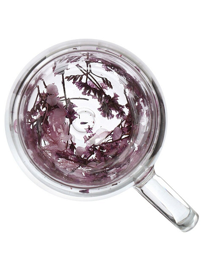 Кружка стекло, 350 мл, Сухоцветы, двойные стенки, в индивидуальной упаковке, B060751