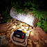 Прожектор светодиодный, Rexant, 20 Вт, 1500 Лм, 3 режима, противоудар. корпус, Powerbank, 75-1700 - фото 5