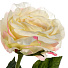 Цветок искусственный декоративный Роза, 70 см, шампань, Y4-7910 - фото 2