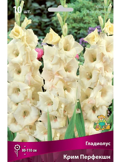Луковицы Гладиолус крупноцветковый, Крим Перфекшн, 10-12, 10 шт, 777525