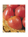Семена Томат, Бычье Сердце, 0.1 г, цветная упаковка, Русский огород - фото 3