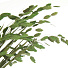 Цветок искусственный декоративный Ветвь, 60 см, зеленый, Y4-6304 - фото 2