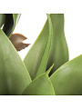 Цветок искусственный декоративный Ананас, в кашпо, 80 см, Y4-8800 - фото 4