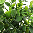 Цветок искусственный декоративный Ветвь, 35 см, зеленый, Y6-10377 - фото 2