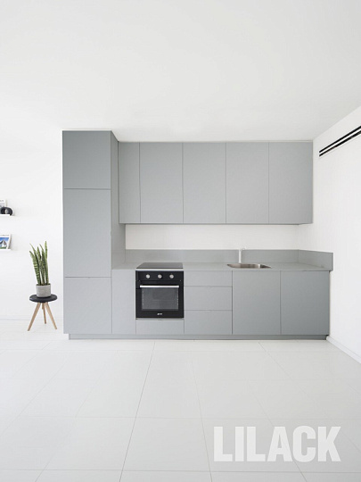 Эмаль аэрозольная, Lilack, универсальная, акриловая, глянцевая, серебристая, 520 мл