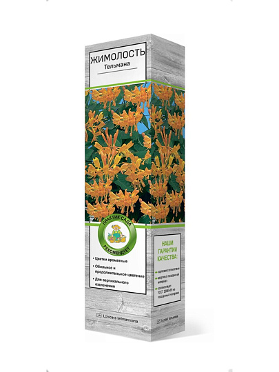 Саженцы Жимолость Тельмана, 750888