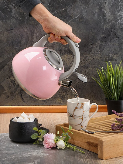 Чайник нержавеющая сталь, 2.7 л, со свистком, зеркальный, ручка бакелитовая, с силиконовым покрытием, Daniks, индукция, розовый, M-083P