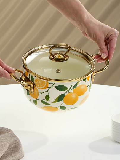 Кастрюля эмалированная сталь, 2 л, крышка стекло, Daniks, Лимоны, индукция