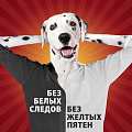 Дезодорант Old Spice, Bearglove, для мужчин, стик, 50 мл - фото 8