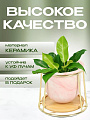 Горшок керамика, 0.27 л, 10х10.7 см, с золотой подставкой, Мрамор, Y4-5089 - фото 3