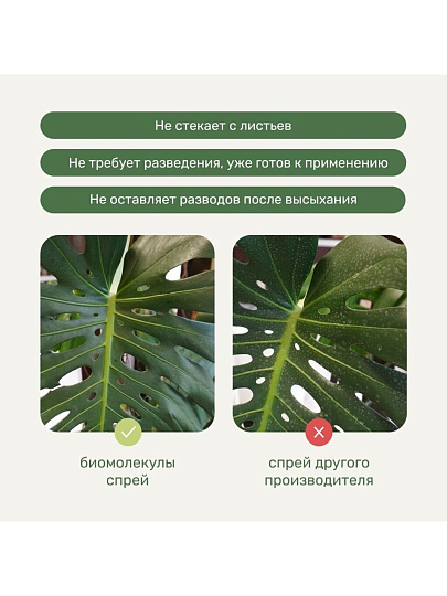 Удобрение Биомолекулы, для декоративно-лиственных, спрей, 500 мл, Удобряй!