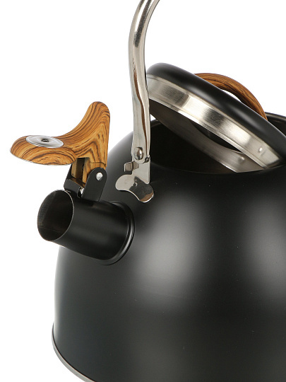 Чайник нержавеющая сталь, 2.5 л, со свистком, матовый, ручка с покрытием, нейлон, Daniks, индукция, GS-04415B