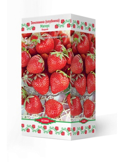 Саженцы Земляника садовая, Магнус, 5 шт, 786995