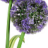 Украшение садовое Одуванчик, 74 см, полимер, с подсветкой, Y4-8085 - фото 4
