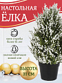 Елка новогодняя настольная, 34 см, Морозная, ель, полиэтилен, SYSPS - 0823022