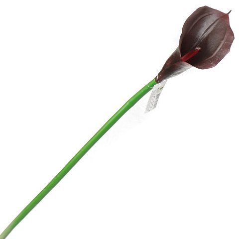 Цветок искусственный декоративный Калла, 70 см, бордовый, 16-0021