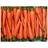 Семена Морковь, Карамелька, 2 г, цветная упаковка, Аэлита - фото 2
