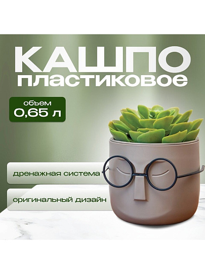 Кашпо пластик, 0.65 л, 11.5х10.5 см, со вставкой, французский серое, Idea, Стив, М 3079