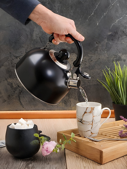 Чайник нержавеющая сталь, 2.5 л, со свистком, матовый, ручка металлическая, Daniks, индукция, черный, GS-04001