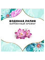 Прокладки женские Discreet, Deo Water Lily Single, ежедневные, 20 шт - фото 2