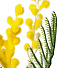 Цветок искусственный декоративный Мимоза, 44 см, Y4-7959 - фото 2