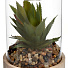 Цветок искусственный декоративный Суккулент, в стеклянном кашпо, 15х11 см, Y4-7929 - фото 3